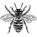  am_10804_5532170_649446 (700x700, 189Kb)